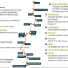 Numéro 14 Mars-Avril-Mai 2019 – Image 2