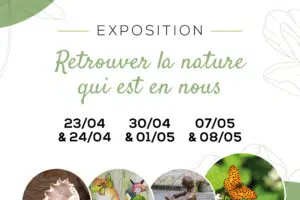 invitation postinsta