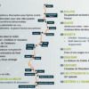 numéro 30 hiver
