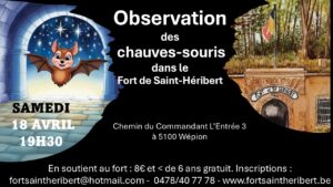 affiche chauve souris 18 04 2026 jpeg
