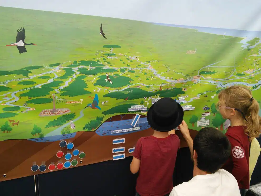 animation bache fleuve grandeur nature namur nature 2016 (4)