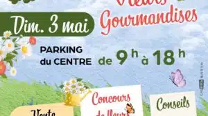 marché fleurs revin 3maijpg